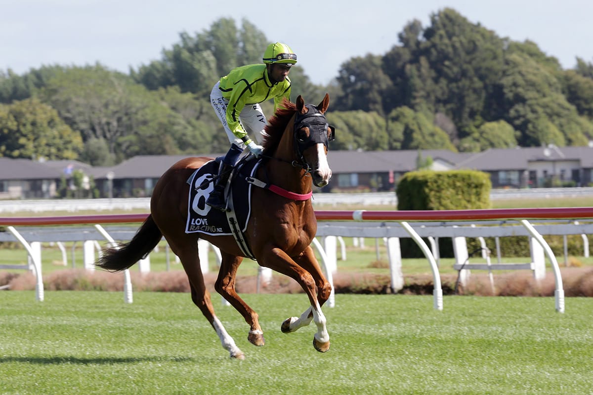 Stable’s odd man out to shine