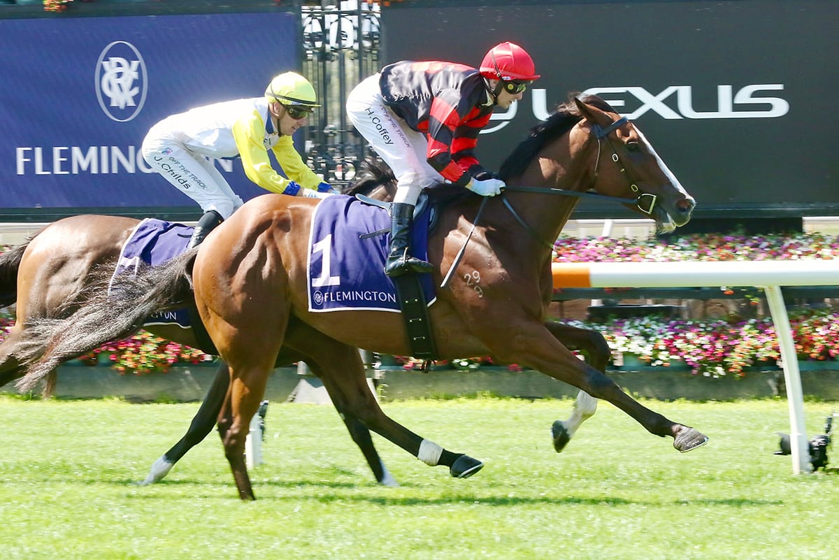 Dunkel gets off the canvas for Flemington win