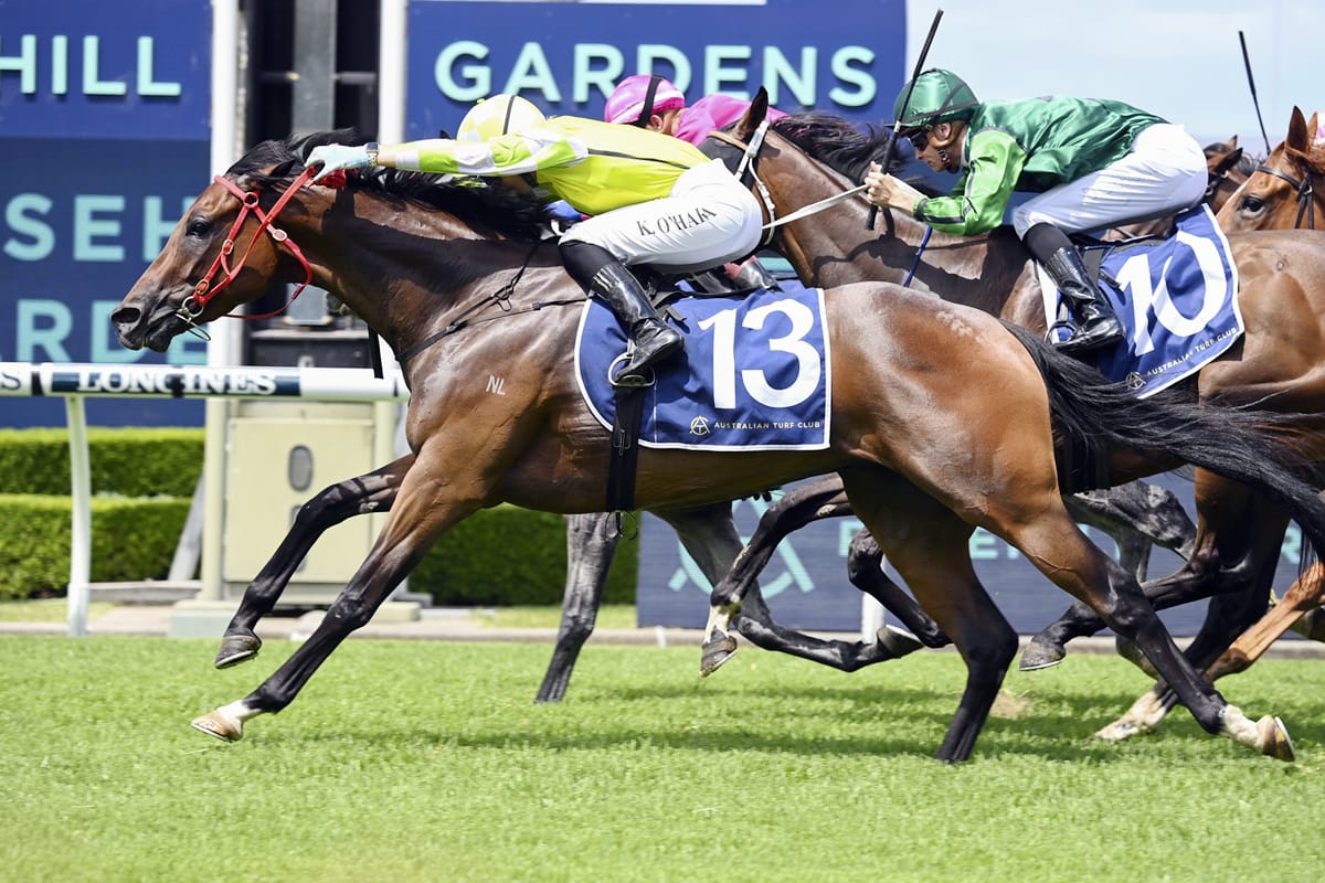 Hokkaido impresses at Rosehill