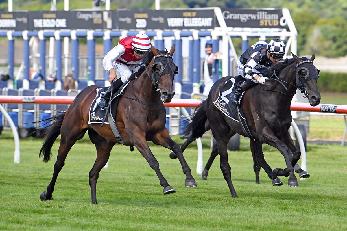 Ladies Man cements his Wellington Cup claim