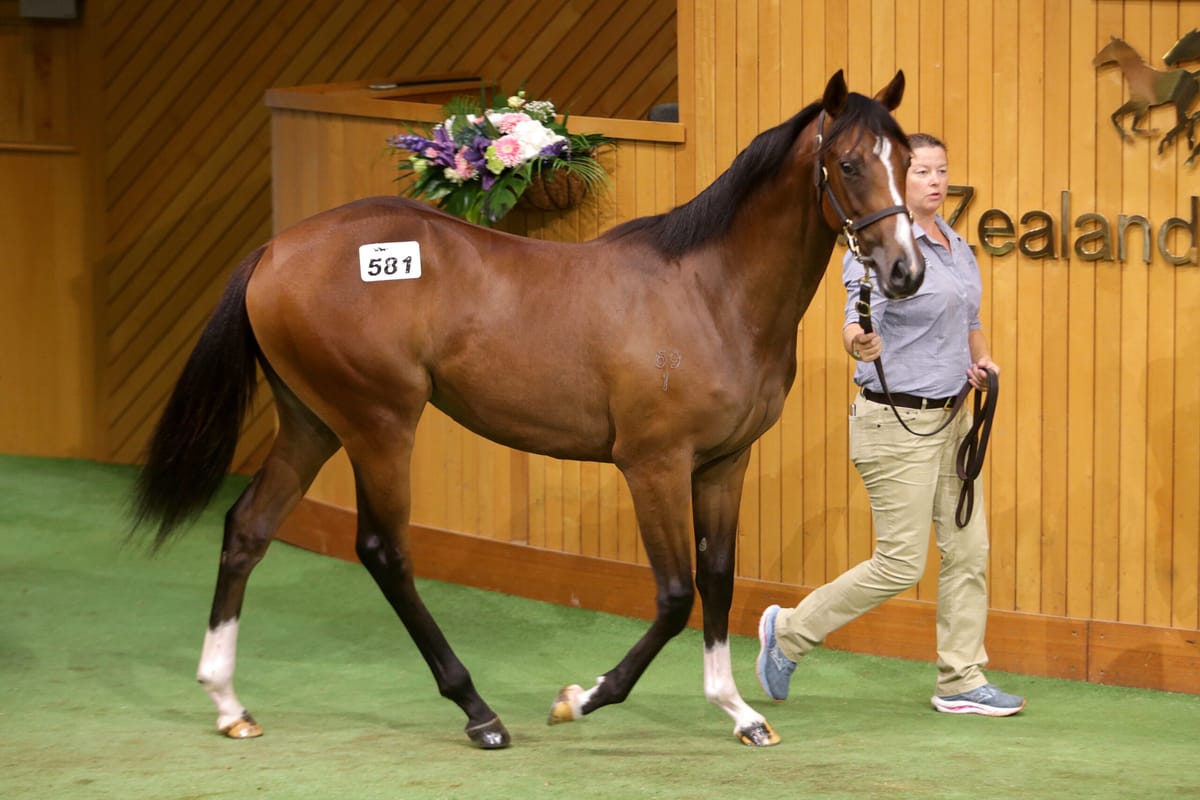 <strong>Proisir in-vogue at Karaka</strong>