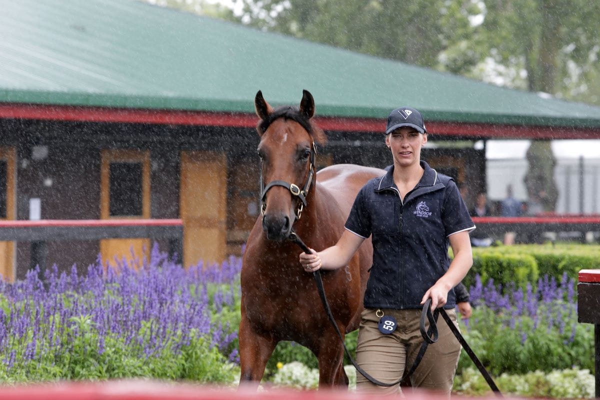Rain fails to dampen spirits at Karaka