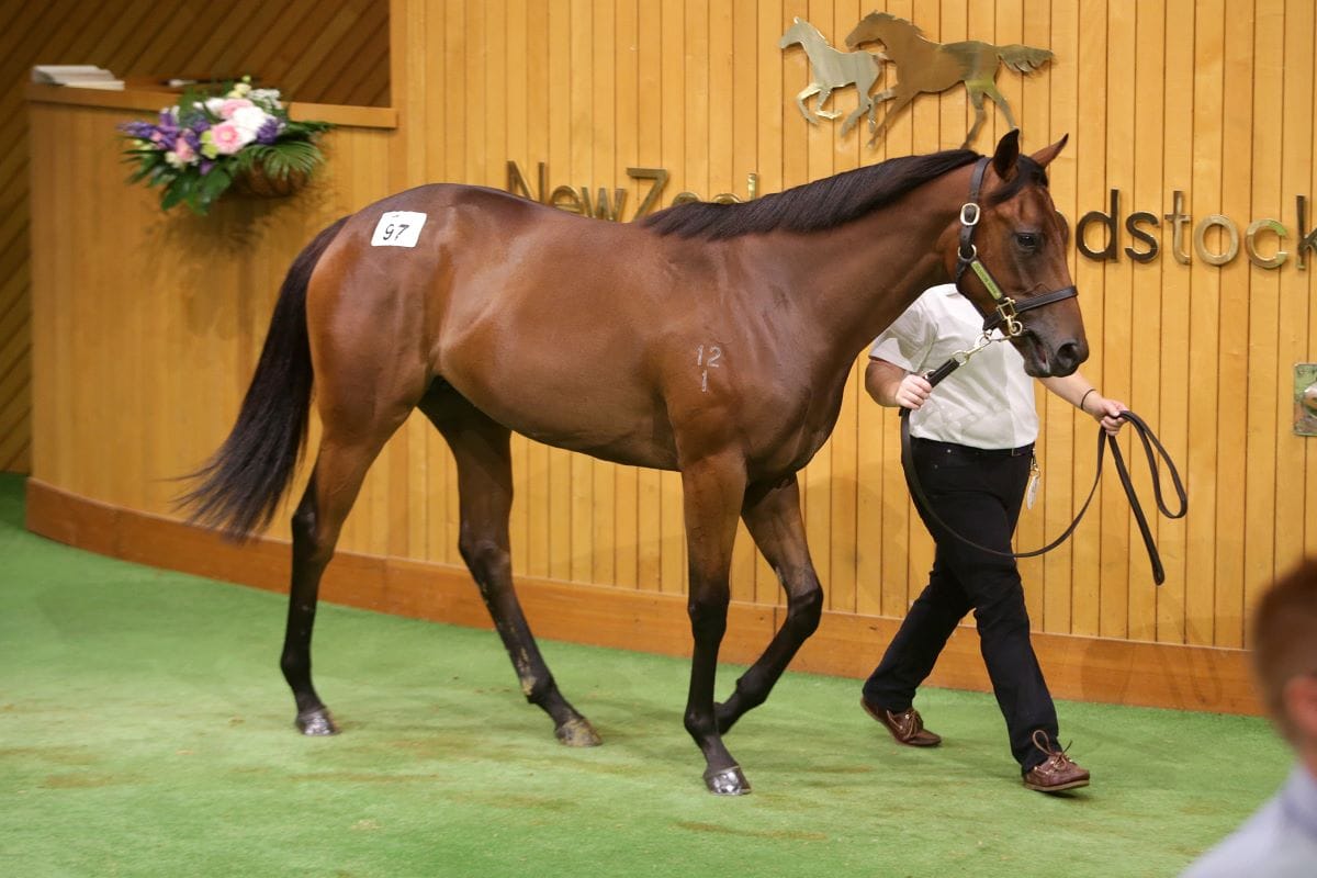 Dream start for Elsdon Park