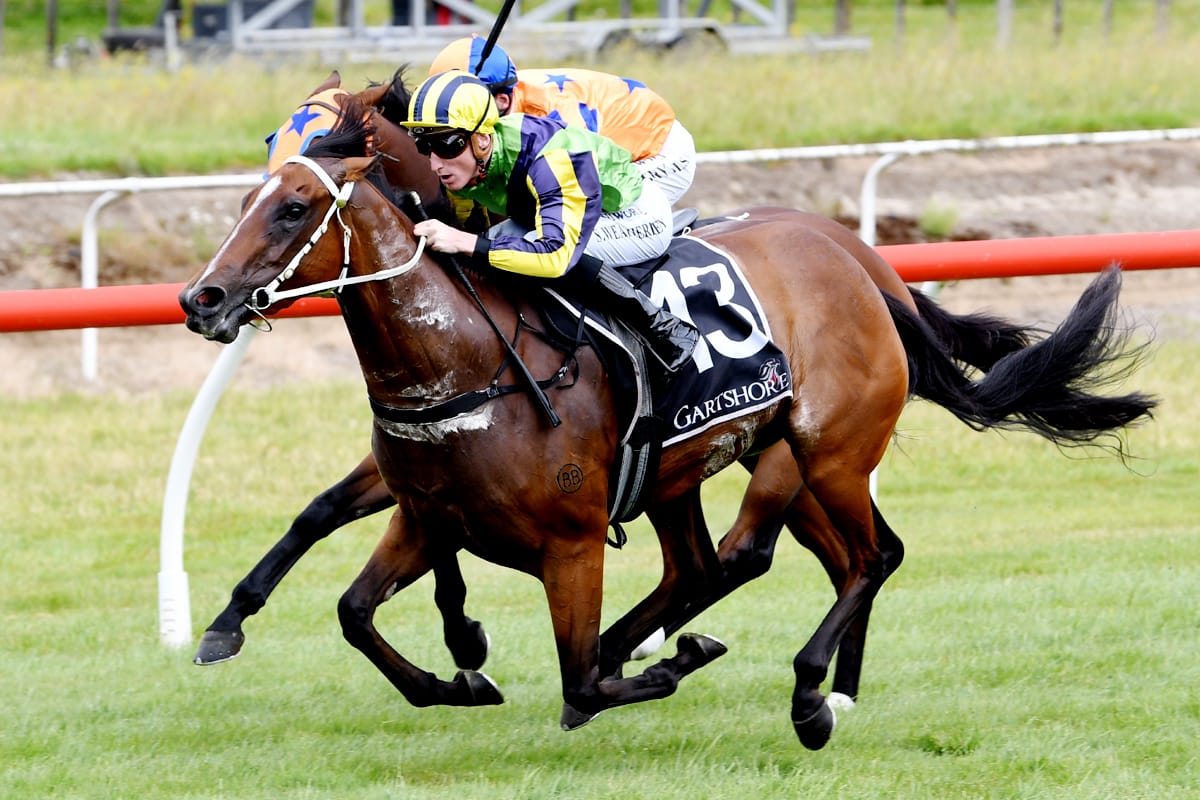 Luella Cristina on song on debut