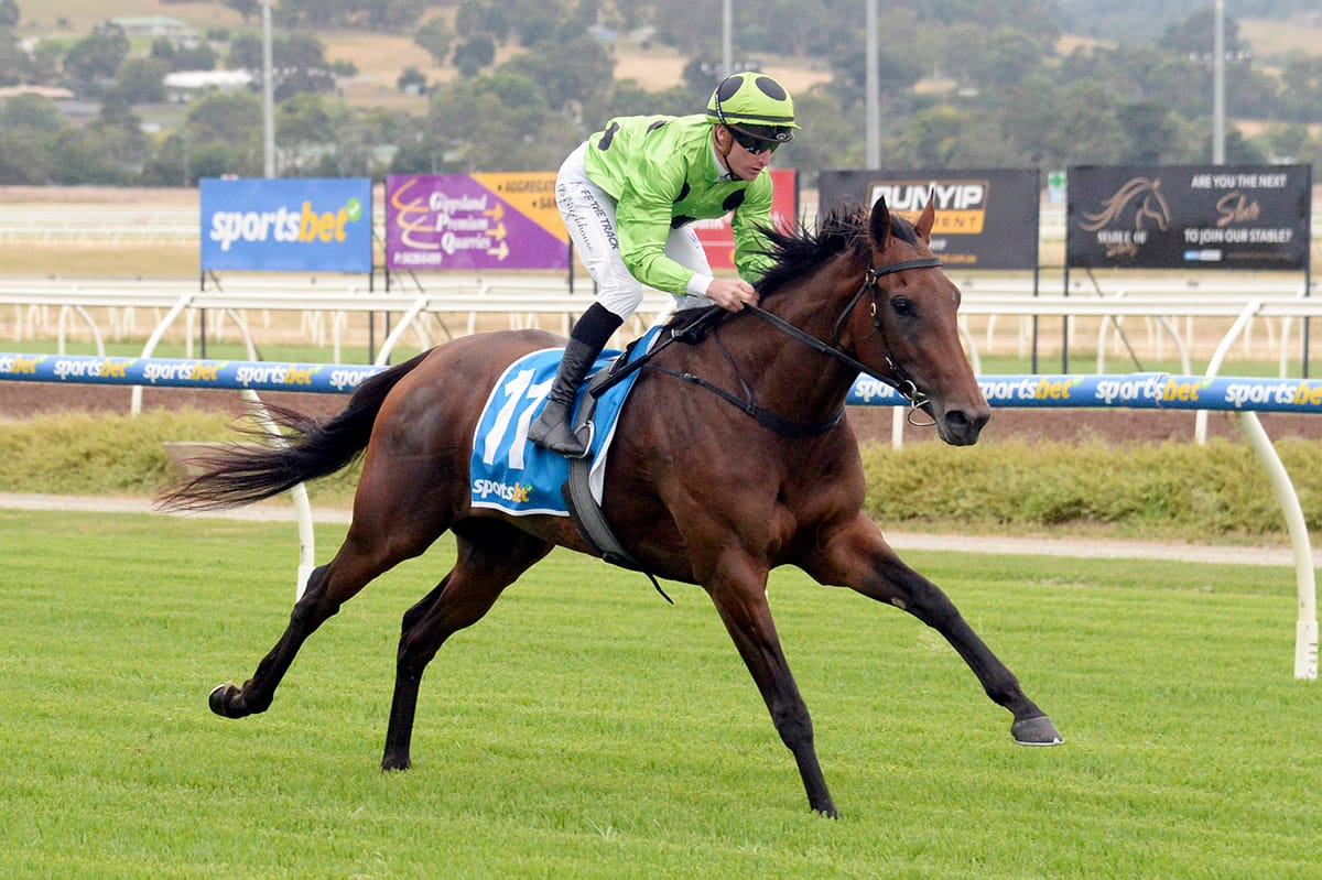 Per Incanto filly impressive at Pakenham