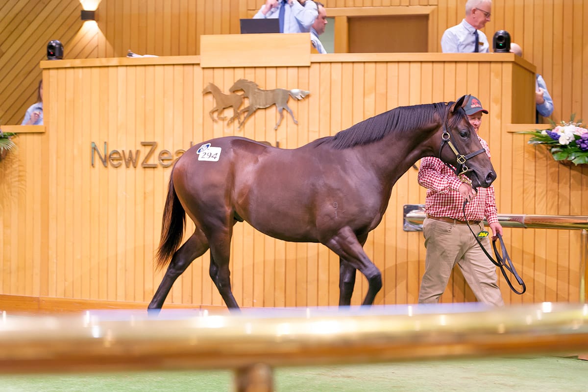 Internationals Savour Quality Bloodlines on Day Two