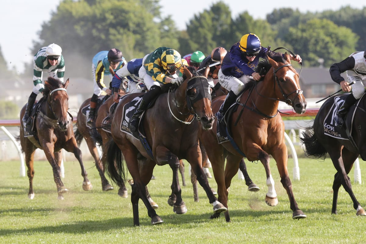 Phantom Dragon winning at Te Rapa. Photo: Trish Dunell