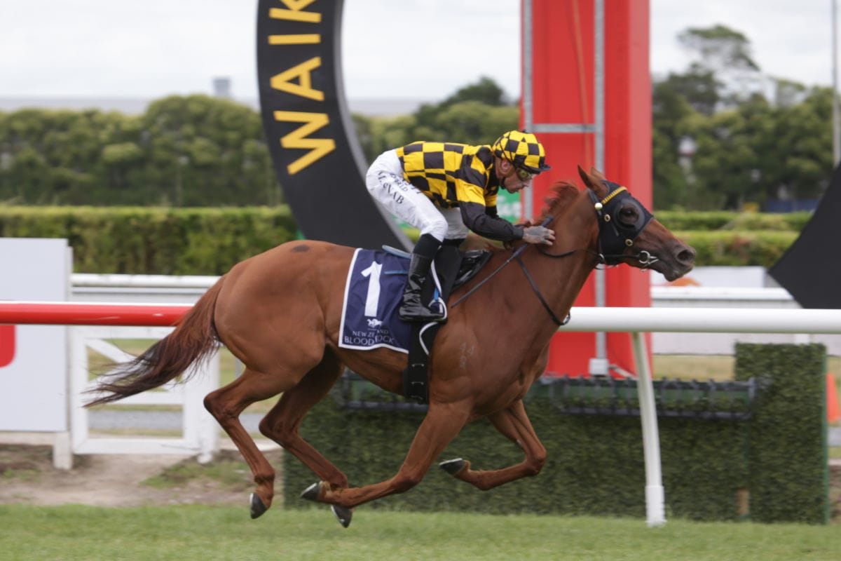 <strong>Polygon provides winning angle in Royal Stakes</strong>