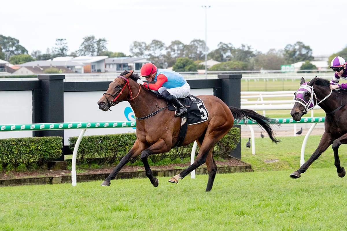 Puntura hunting maiden Group victory