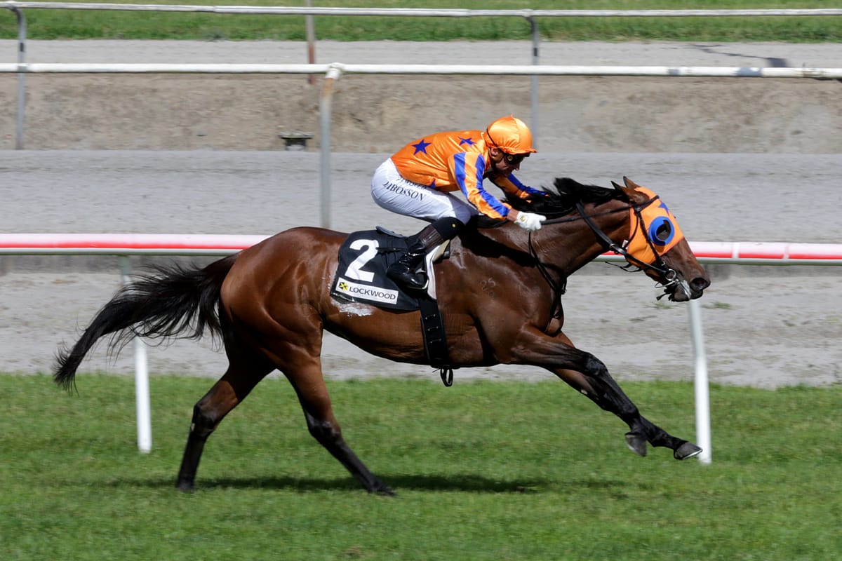 Romancing The Moon ready for next stakes assignment