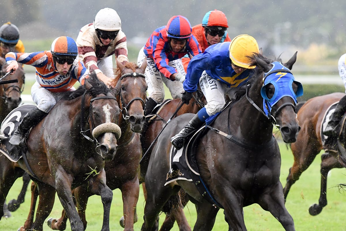 Trentham targets lined up for stablemates