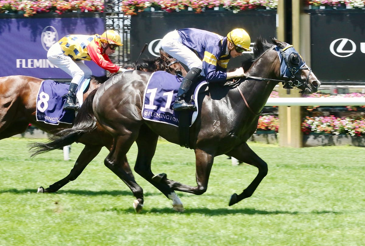 Snapper all the way in Standish for Sir Patrick