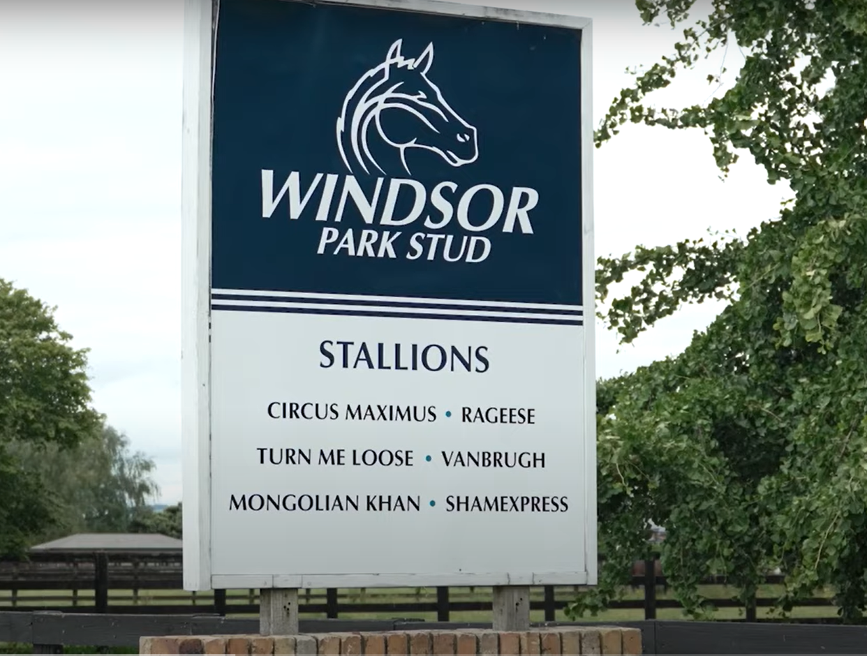 VIDEO: Windsor Park Stud Karaka 2023 preview