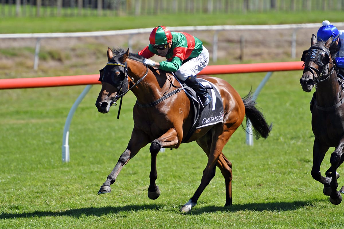 Australia calling Te Rapa Group One contenders