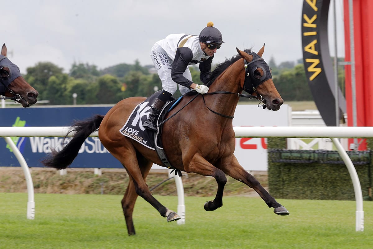 Bitcoin chasing successful NZ finale