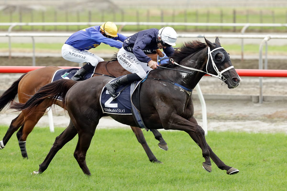 Colorado Star too tough in Kaimai Stakes