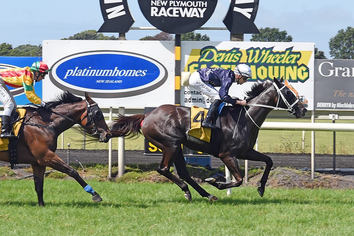 Colorado Star upsets in Taranaki Cup