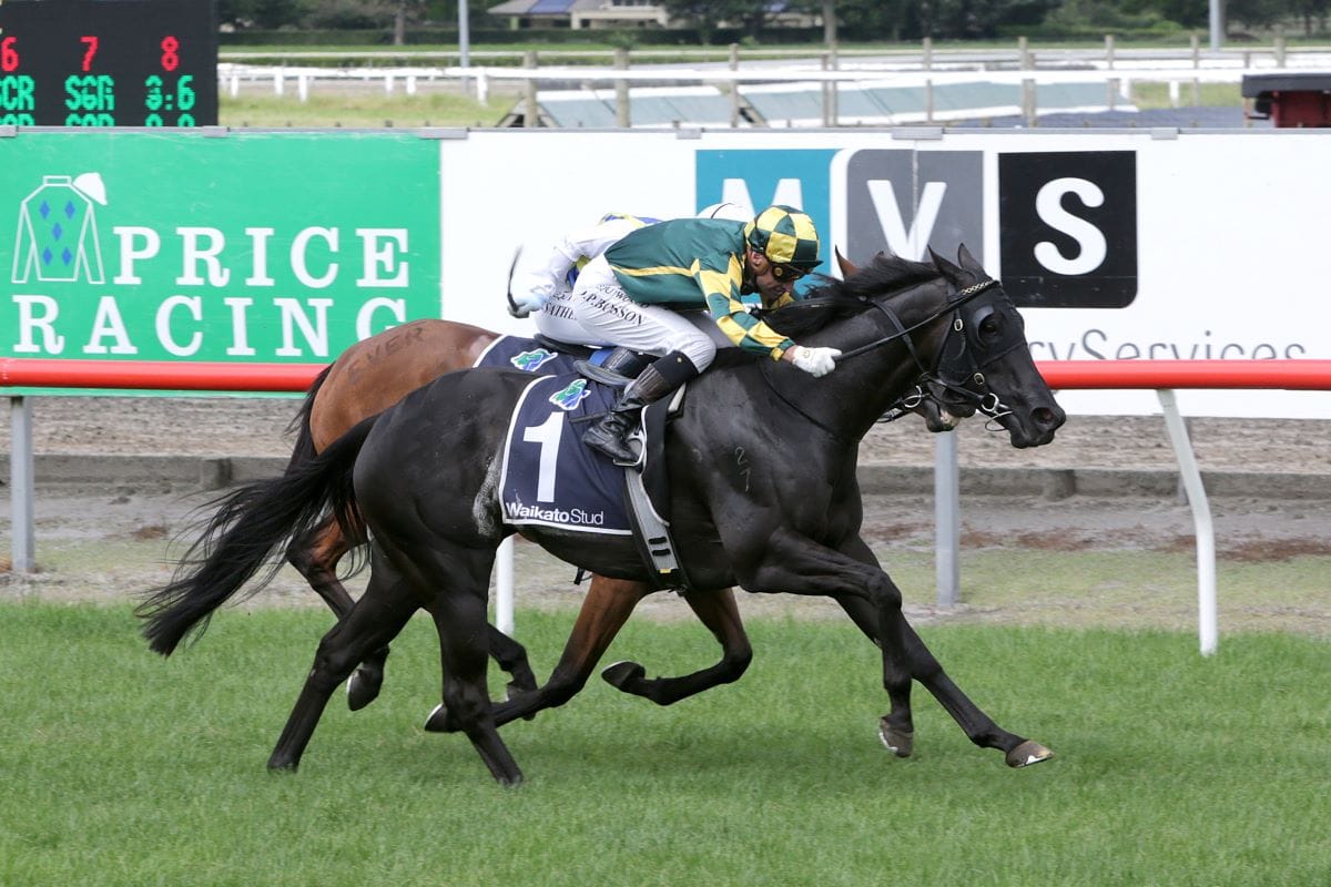 Sydney preferred option for Dragon Queen