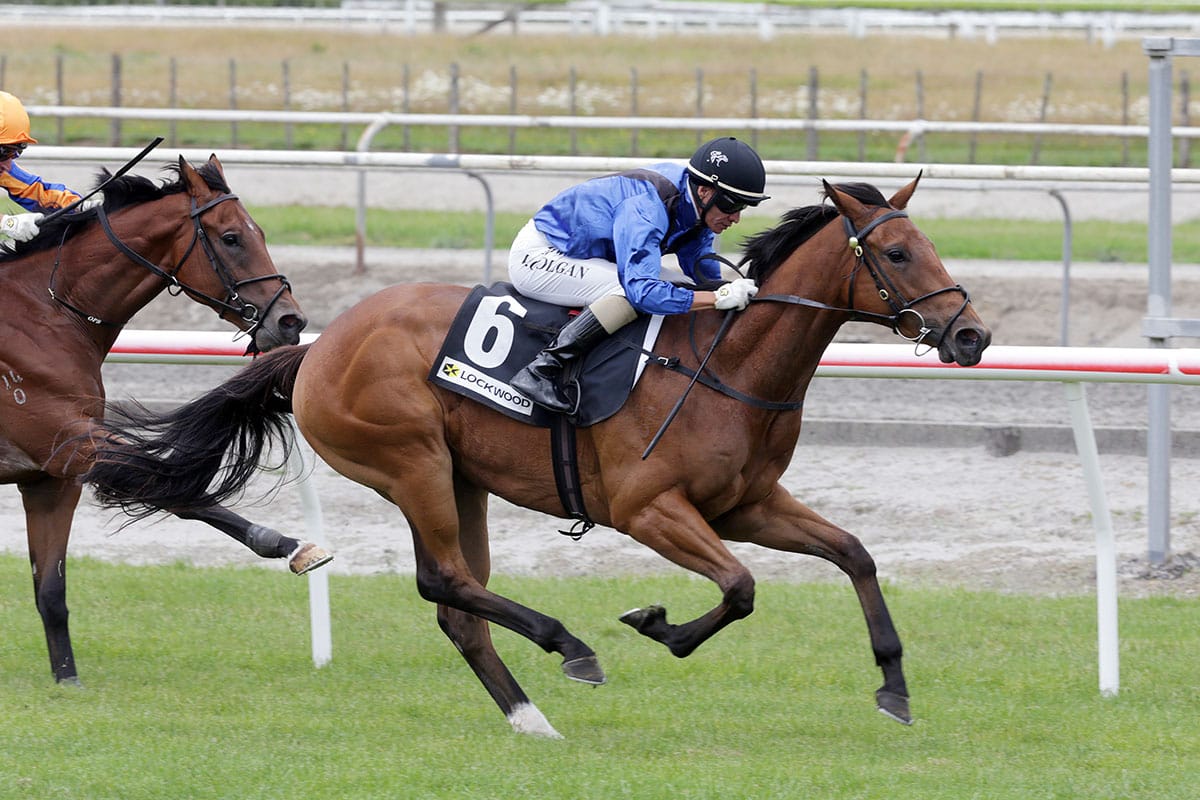 Mirabelli bringing a different kind of storm to Taranaki