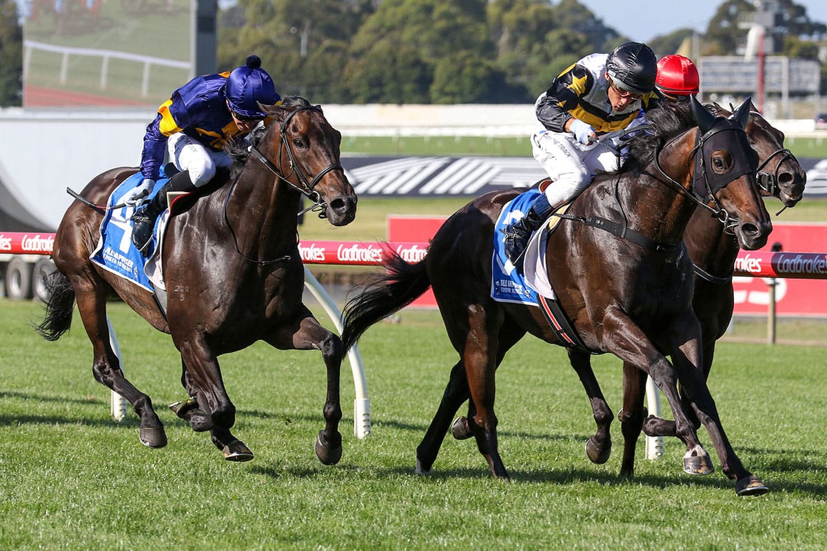 Here To Shock scores on-speed Sandown win
