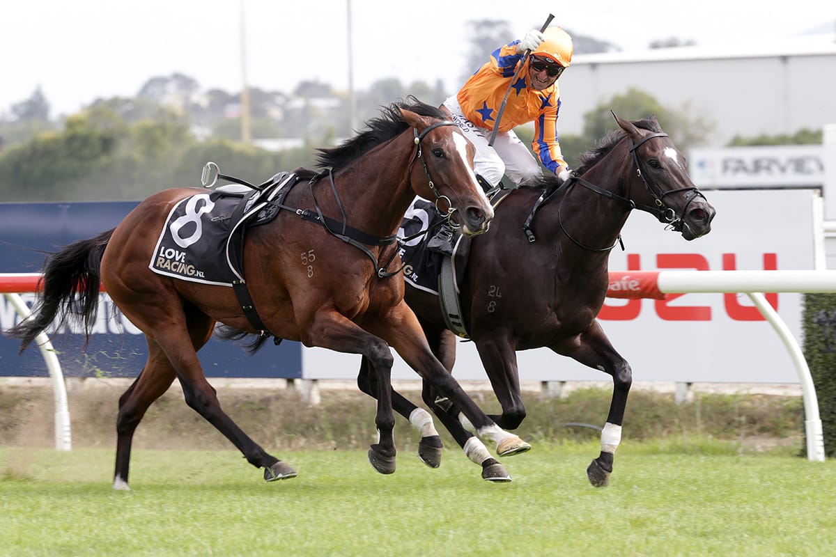 Newmarket tilt for Imperatriz