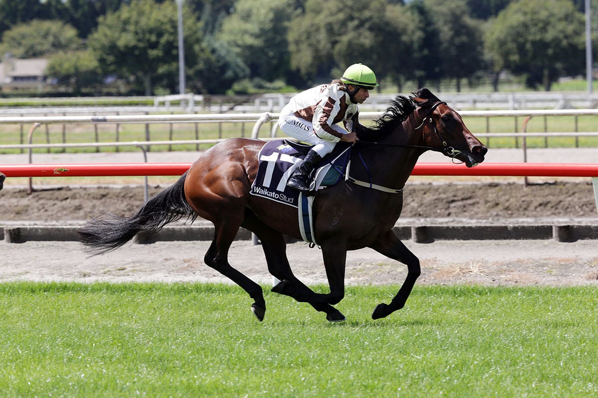 All go for Legarto for Melbourne