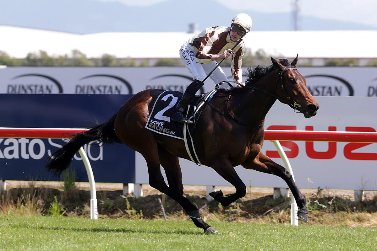 Dee booked for Legarto in Guineas