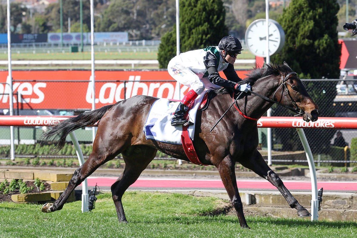 Mr Brightside draws well for Doncaster defence