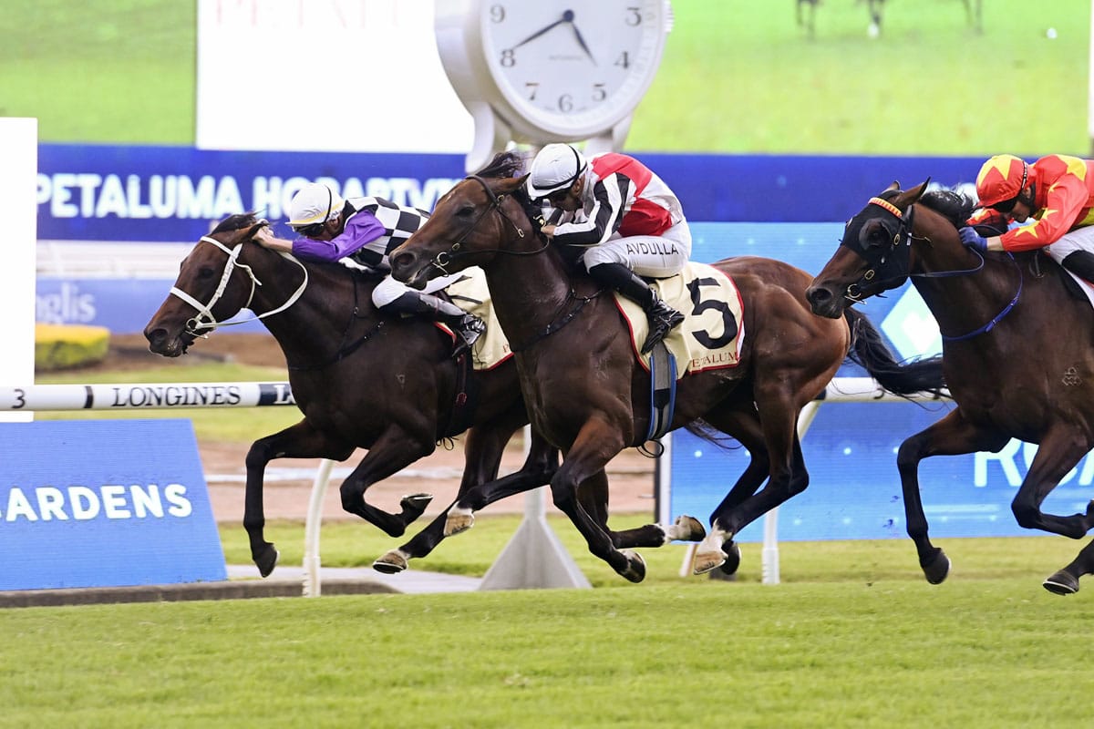 Osipenko stakes Guineas claim