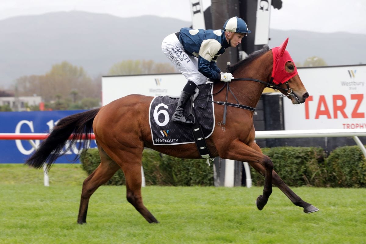 Pier ready for round one in Hobartville