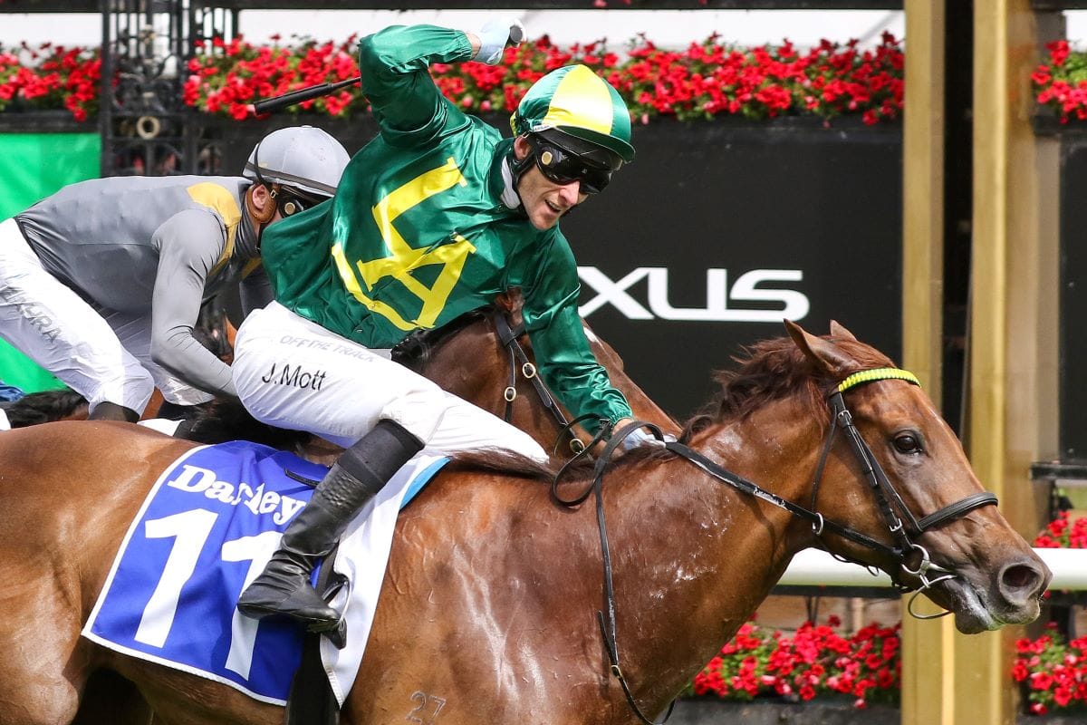 Oakleigh Plate option for Roch 'N' Horse