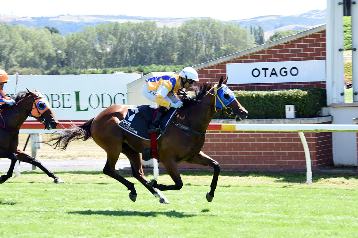 Levin Classic on radar for Guineas star Specialty