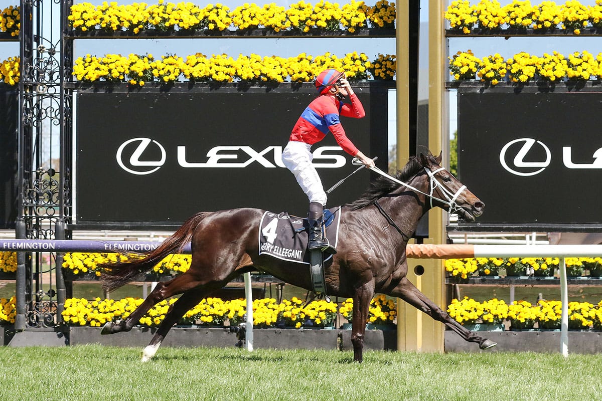 Champion racemare Verry Elleegant for Hall of Fame