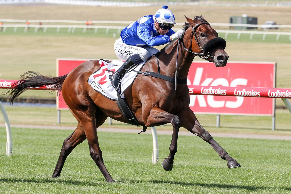 Group Three success for Wrote To Arataki