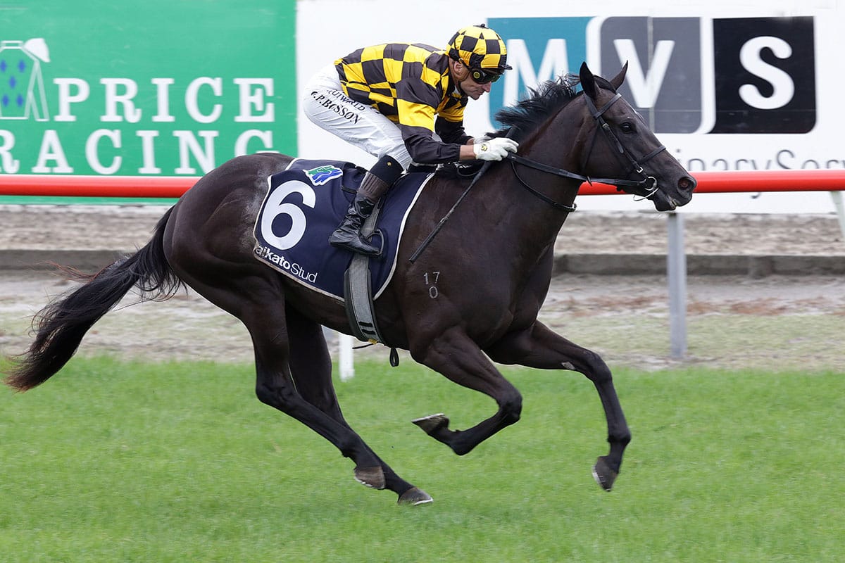 Walker tops 2YO podium at Matamata