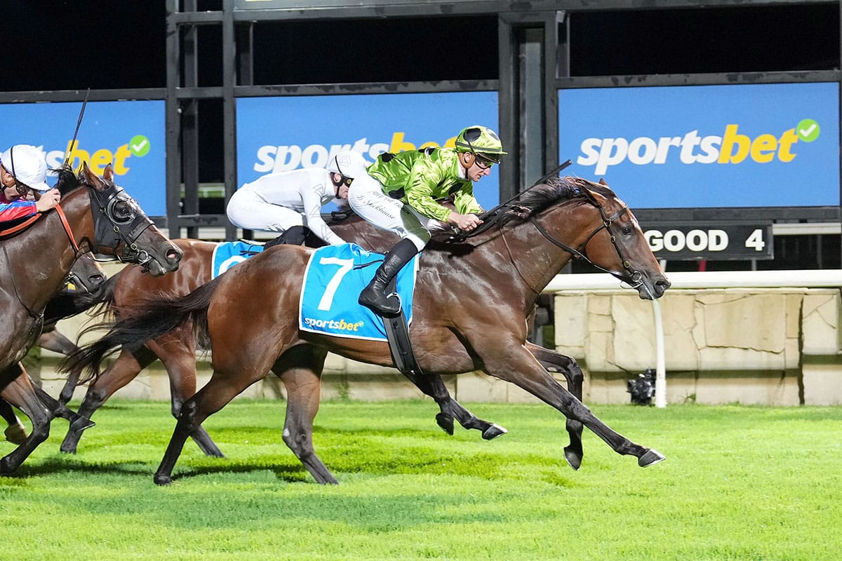 Kiwi import continues winning ways at Pakenham