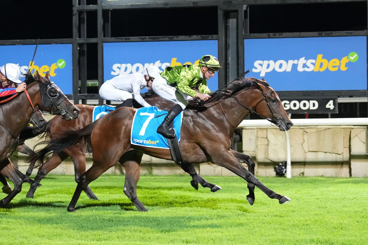 <strong>Kiwi import continues winning ways at Pakenham</strong>