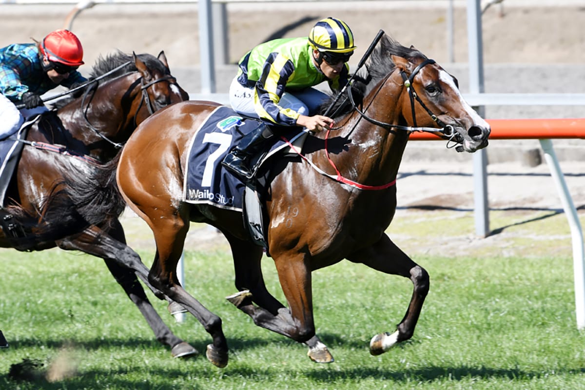 Well-bred Aprilia bounces back