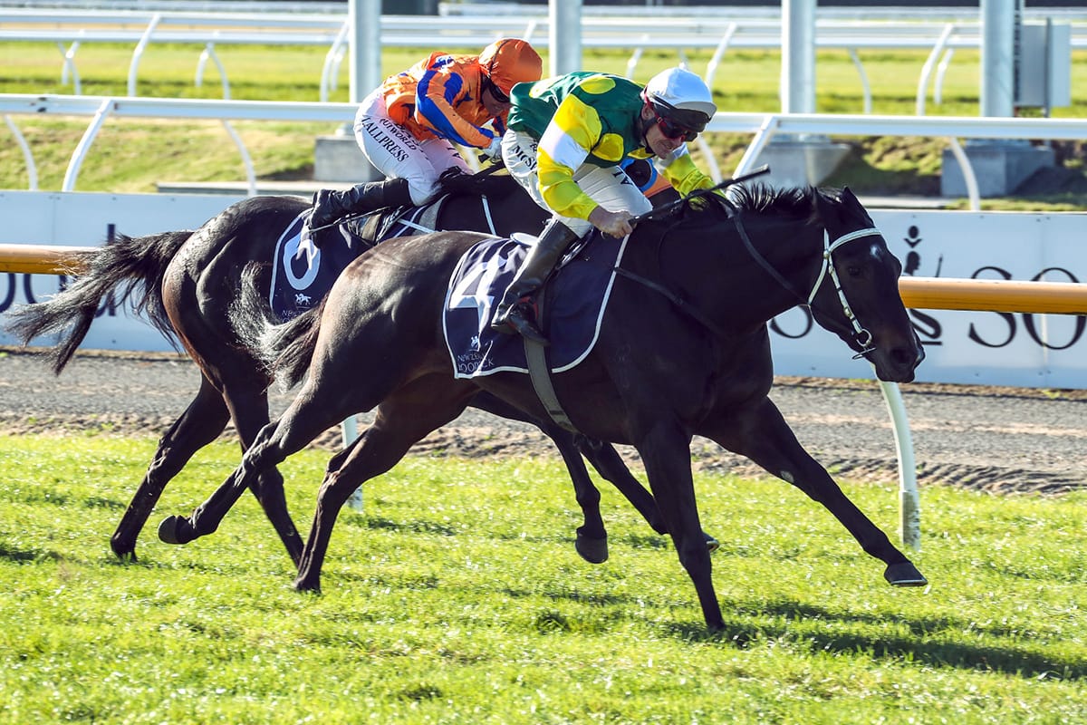 Burgie poised to add to Andertons’ proud record in Breeders’ Stakes