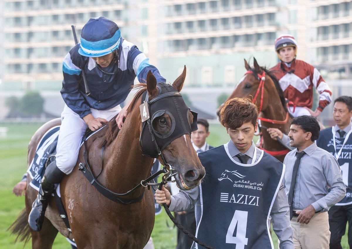 Duke Wai brave in Dubai