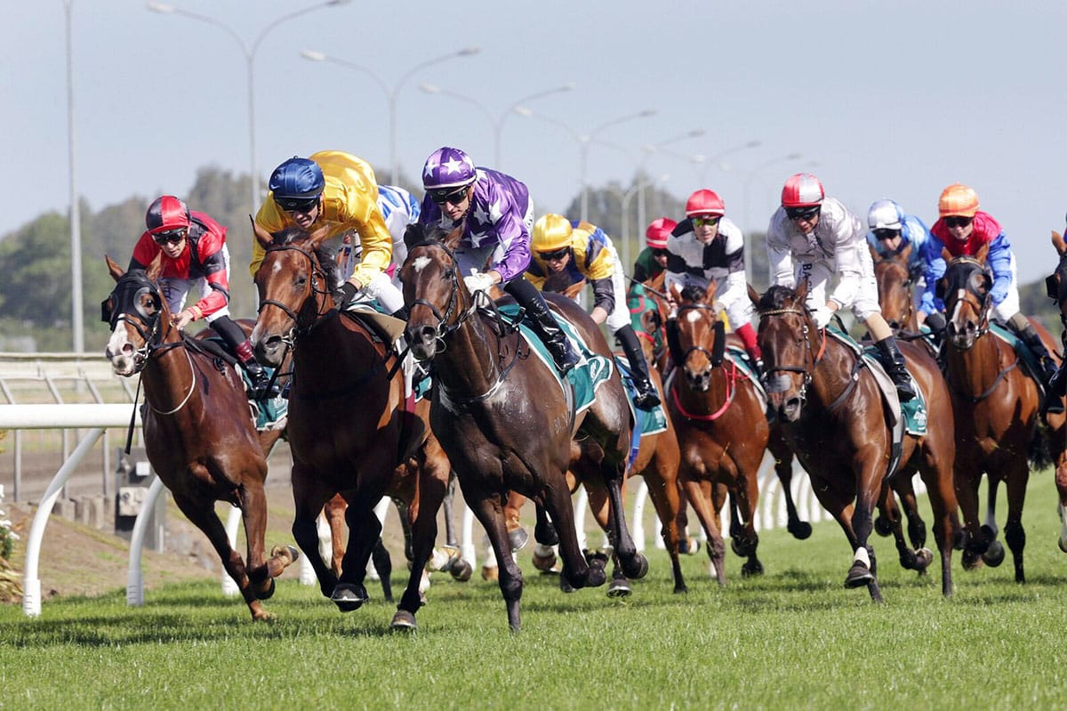 Entain announced as TAB NZ preferred partner