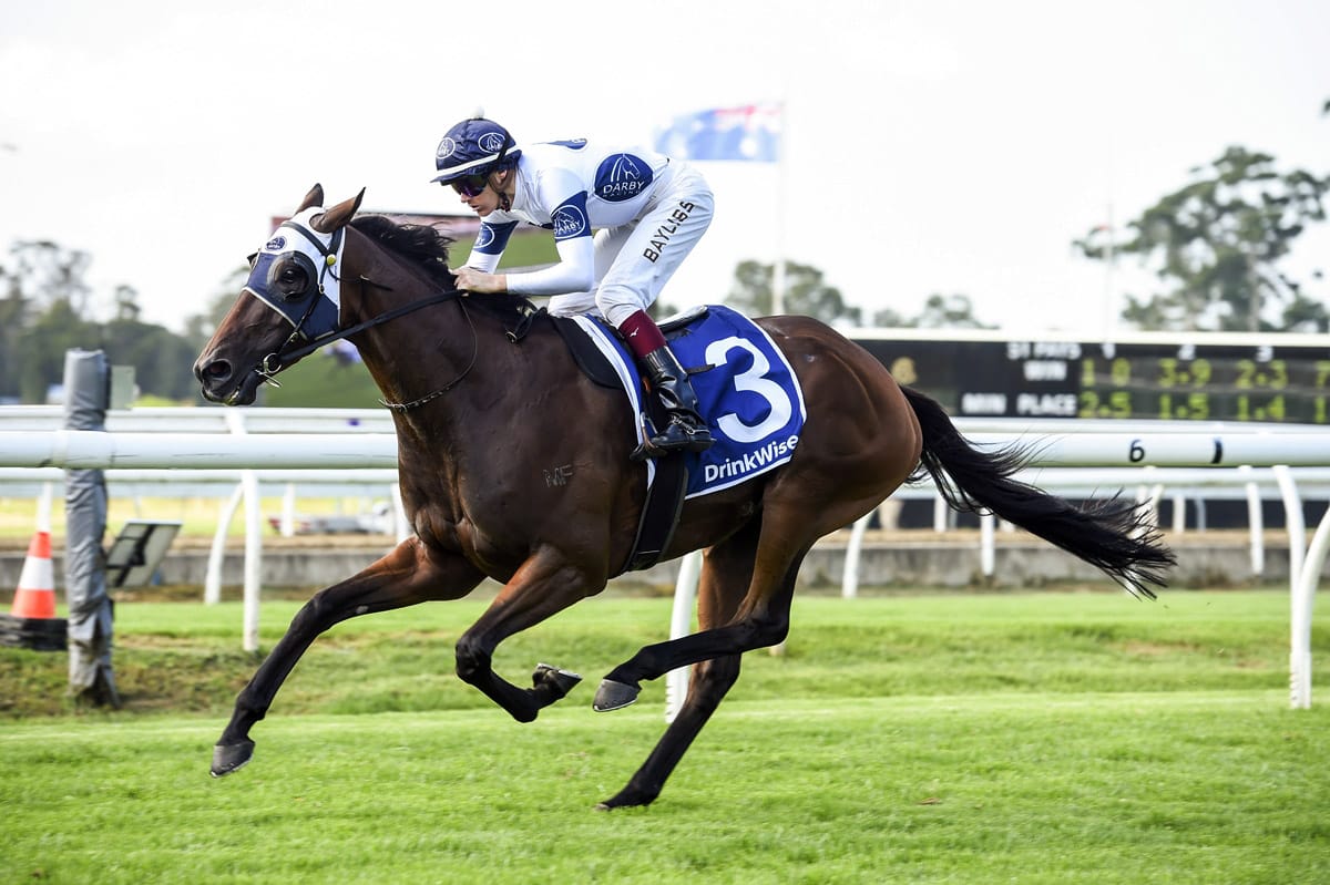 Australian syndicator seeking autumn gold with Kiwi import