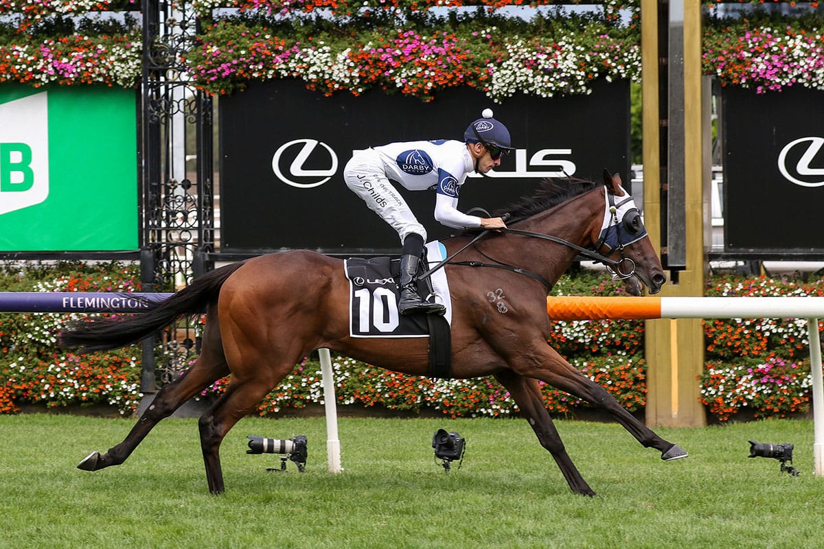 <strong>Goldman helps boost profile of young stallion</strong>