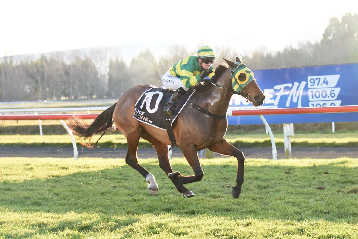 <strong>Jessie’s Rock seeking southern riches</strong>