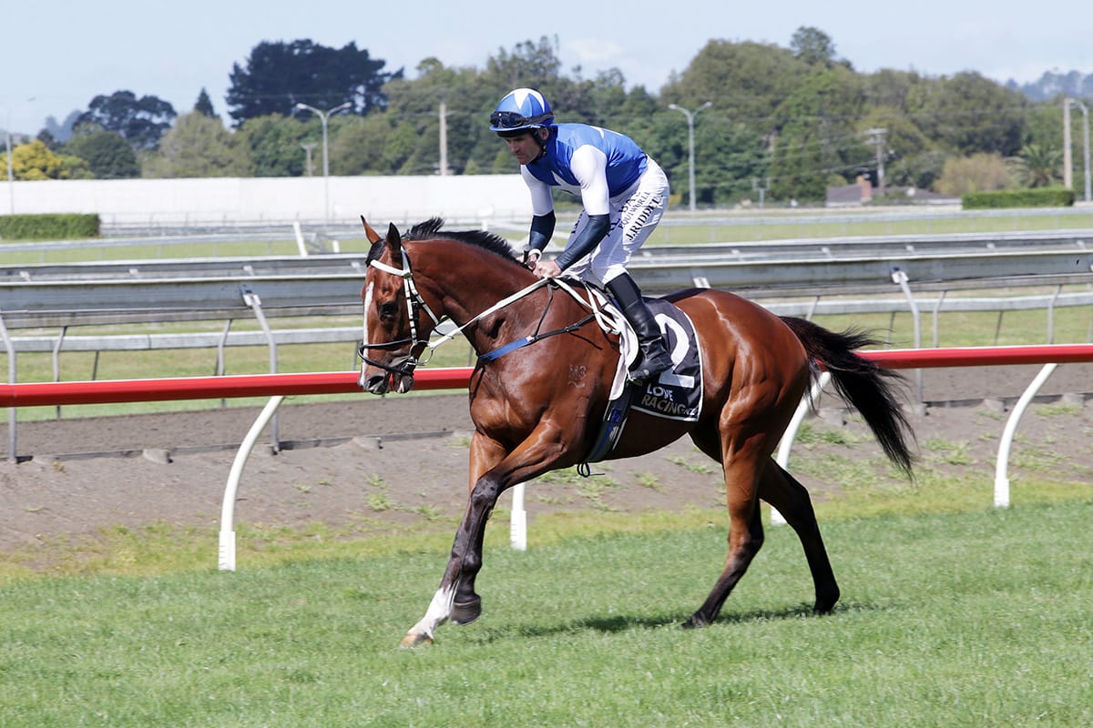 <strong>Racing success making up for sale setback</strong>