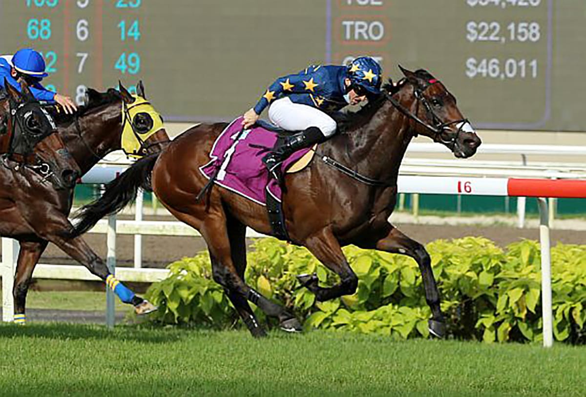 Lim’s Kosciuszko reigns supreme at Singapore Racing awards