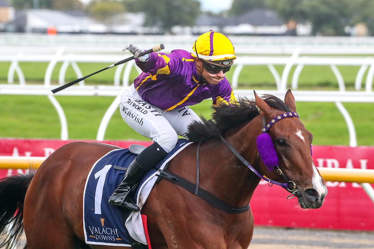 No drama for leading southern mare