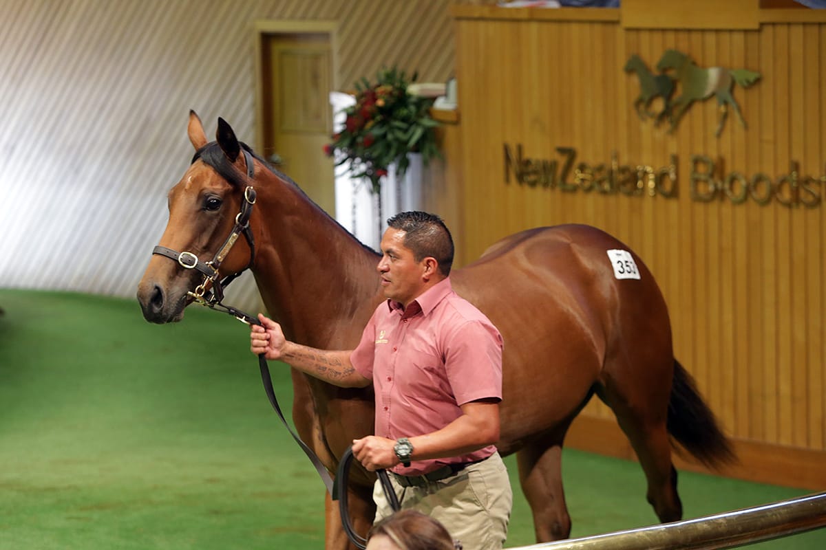 Bakers proud as punch of Prowess