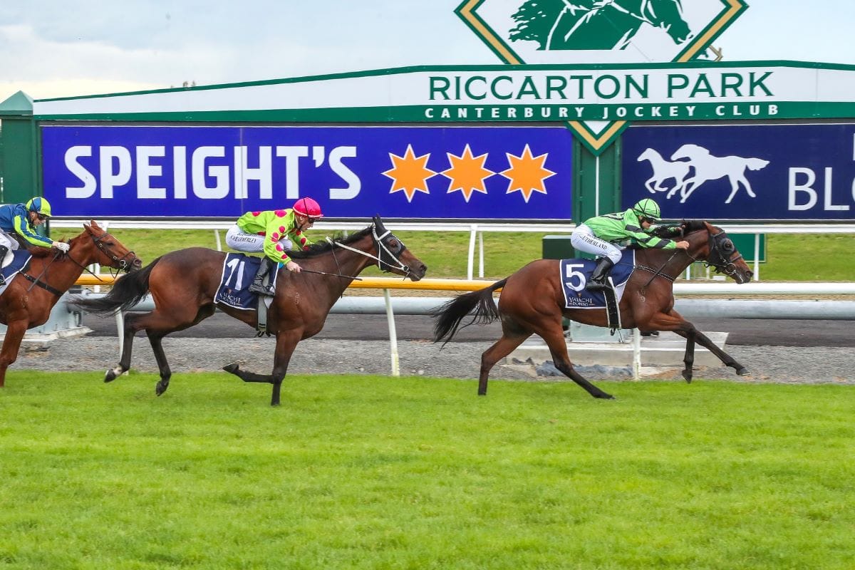 Where there is a will there is a Weka