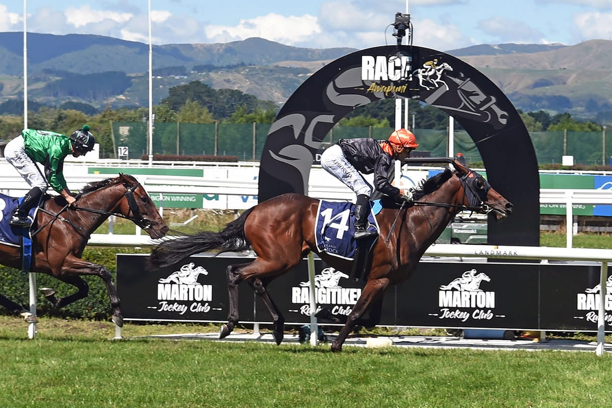 Oaks dream alive for Waikato radiologist